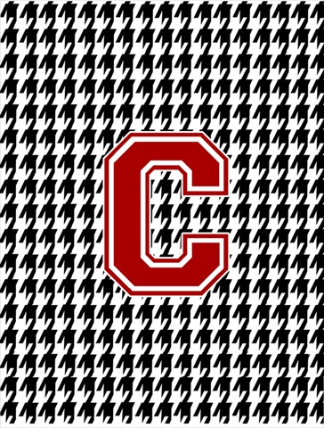 Houndstooth Black C Monogram Initial Garden Size Flag