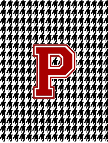 Houndstooth Black P Monogram Initial Garden Size Flag