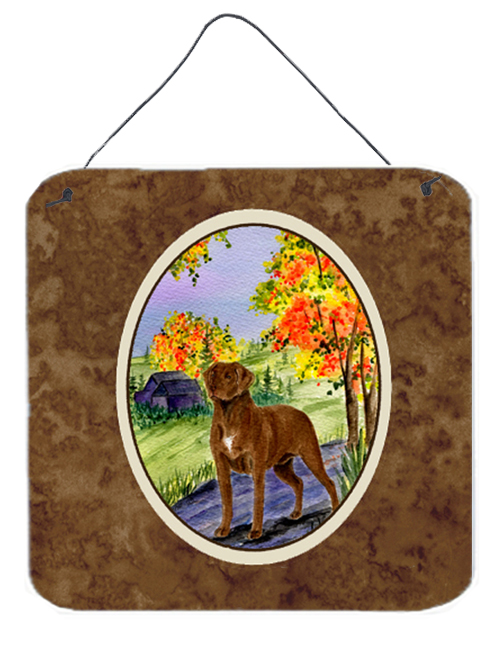 SS8427DS66 6 x 6 in. Chesapeake Bay Retriever Aluminium Metal Wall Or Door Hanging Print