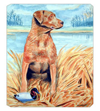 8 x 9.5 in. Chesapeake Bay Retriever Mouse Pad, Hot Pad Or Trivet