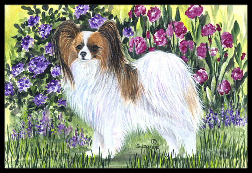 18 x 27 in. Papillon Indoor Outdoor Doormat