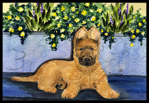 18 x 27 in. Briard Indoor Outdoor Doormat