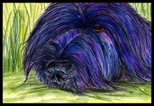 18 x 27 in. Briard Indoor Outdoor Doormat