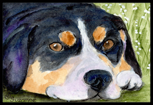 Entlebucher Mountain Dog Indoor Outdoor Doormat