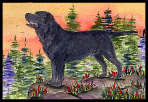 Labrador Indoor Outdoor Doormat