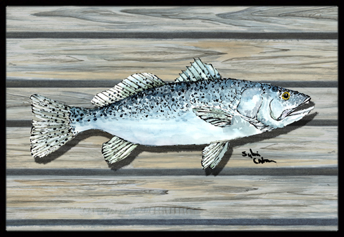 Fish Speckled Trout Indoor Outdoor Doormat