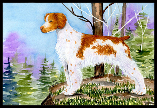 Setter Indoor Outdoor Doormat