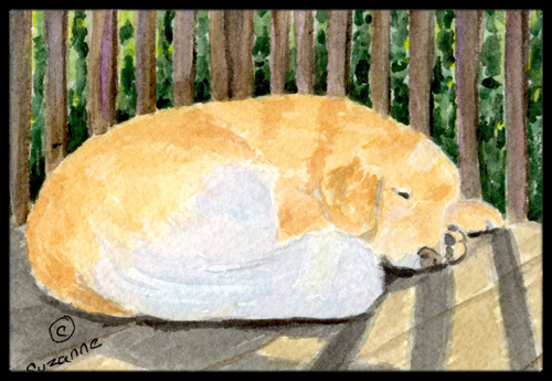 Golden Retriever Indoor Outdoor Doormat