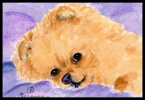 Pomeranian Indoor Outdoor Mat - 18 x 27 in.
