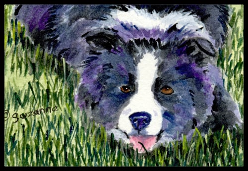 Border Collie Indoor Outdoor Mat - 18 x 27 in.