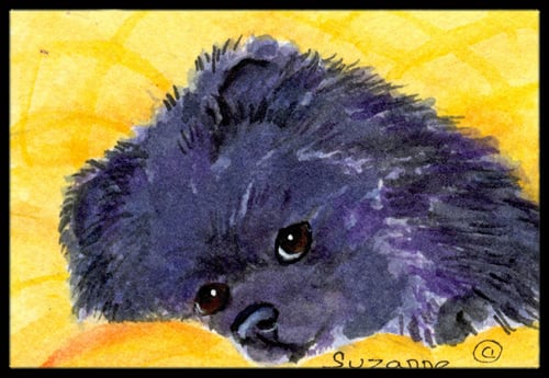 Pomeranian Indoor Outdoor Mat - 18 x 27 in.