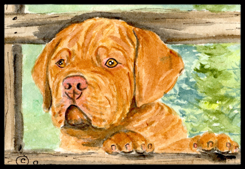Dogue de Bordeaux Indoor Outdoor Mat - 18 x 27 in.