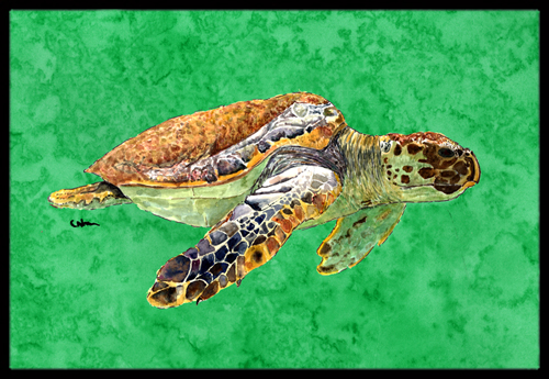 Turtle Indoor Or Outdoor Mat - 18 x 27 in.