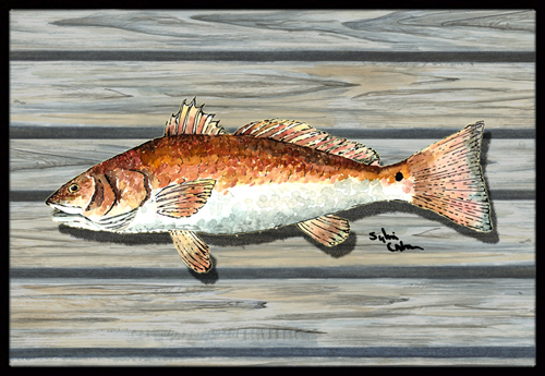 Fish Red Fish Indoor Or Outdoor Mat - 18 x 27 in.