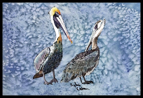 Pelican Indoor Or Outdoor Mat - 18 x 27 in.