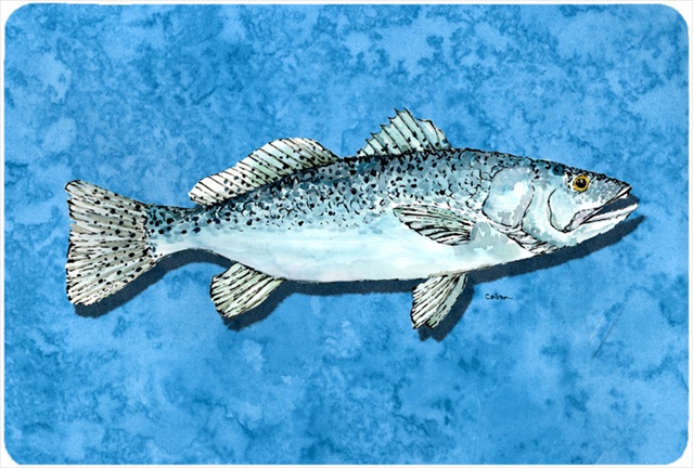 9.25 x 7.75 in. Fish - Trout Mouse Pad, Hot Pad Or Trivet