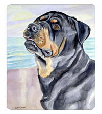 8 x 9.5 in. Rottweiler Mouse Pad, Hot Pad Or Trivet