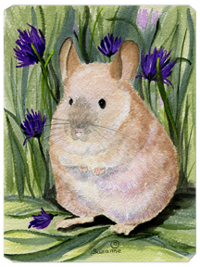 9.5 x 8 in. Chinchilla Mouse Pad, Hot Pad Or Trivet