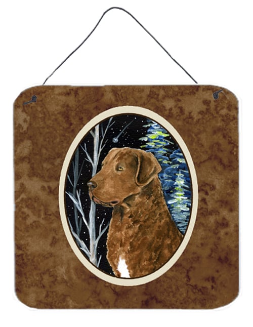SS8411DS66 6 x 6 in. Starry Night Chesapeake Bay Retriever Aluminium Metal Wall Or Door Hanging Prints