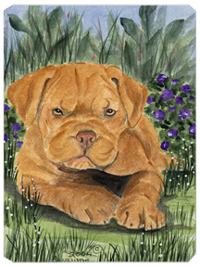 8 x 9.5 in. Dogue de Bordeaux Mouse Pad, Hot Pad Or Trivet