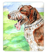 8 x 9.5 in. Italiano Spinone Mouse Pad, Hot Pad Or Trivet