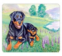 8 x 9.5 in. Rottweiler Mouse Pad, Hot Pad Or Trivet