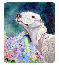 8 x 9.5 in. Bedlington Terrier Mouse Pad, Hot Pad or Trivet