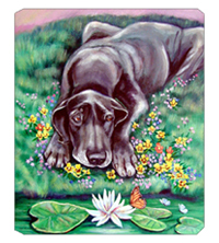 8 x 9.5 in. Great Dane Mouse Pad, Hot Pad or Trivet