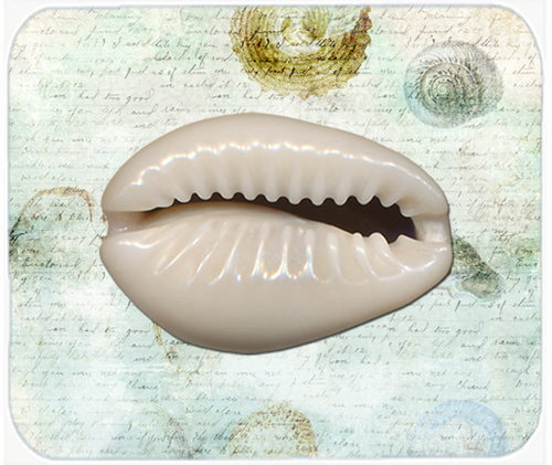 9.5 x 8 in. Shells Mouse Pad, Hot Pad or Trivet