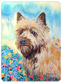 8 x 9.5 in. Cairn Terrier Mouse Pad, Hot Pad or Trivet