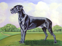 8 x 9.5 in. Great Dane Mouse Pad, Hot Pad or Trivet