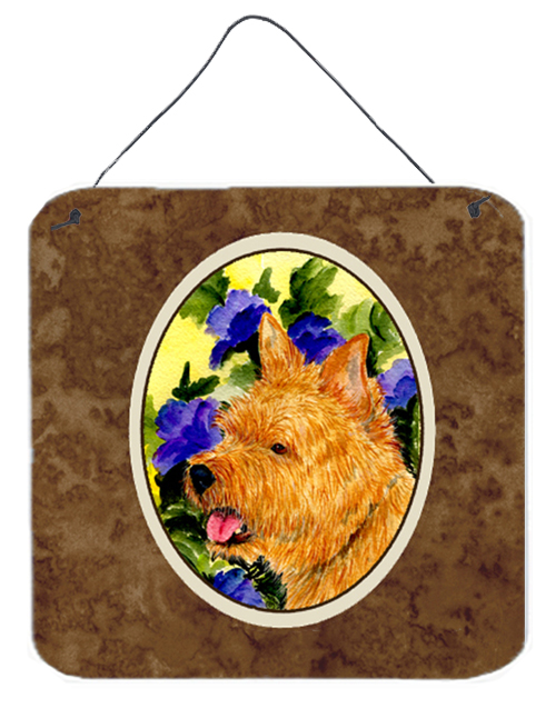 SS8421DS66 6 x 6 in. Norwich Terrier Aluminium Metal Wall or Door Hanging Prints