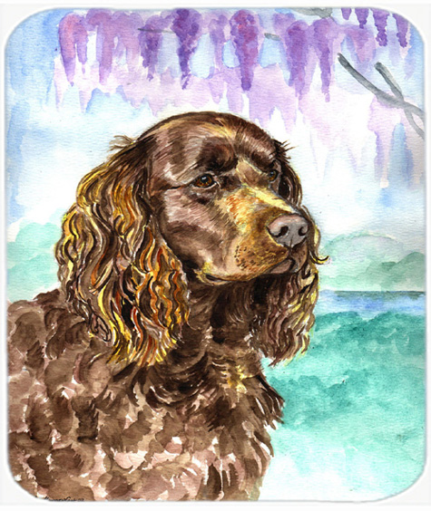 9.5 x 8 in. American Water Spaniel Mouse Pad, Hot Pad or Trivet