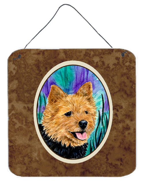 6 x 6 in. Norwich Terrier Aluminium Metal Wall or Door Hanging Prints
