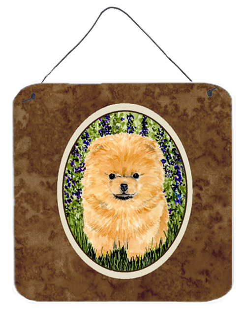6 x 6 in. Pomeranian Aluminium Metal Wall or Door Hanging Prints