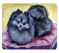 8 x 9.5 in. Pomeranian Mouse Pad, Hot Pad or Trivet