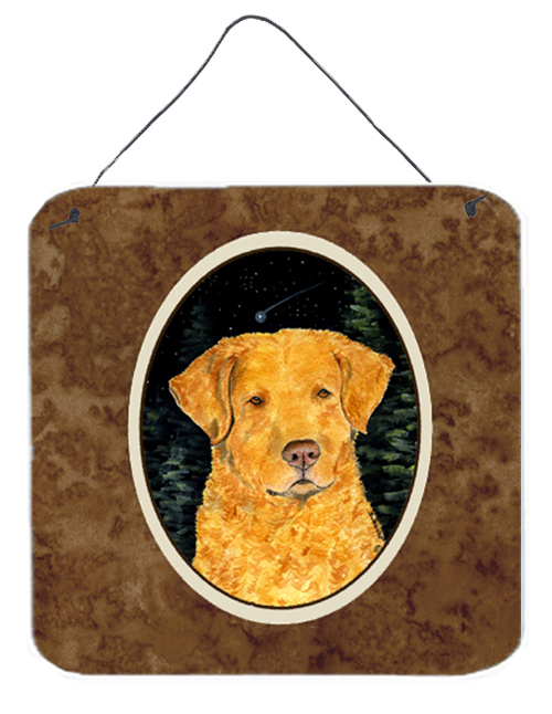 6 x 6 in. Starry Night Chesapeake Bay Retriever Aluminium Metal Wall or Door Hanging Prints
