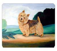 8 x 9.5 in. Norwich Terrier Mouse Pad, Hot Pad or Trivet