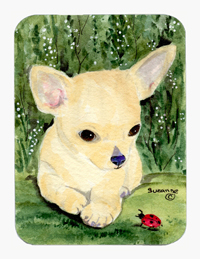 8 x 9.5 in. Chihuahua Mouse Pad, Hot Pad or Trivet