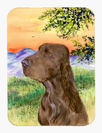8 x 9.5 in. Field Spaniel Mouse Pad, Hot Pad or Trivet