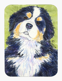 8 x 9.5 in. Bernese Mountain Dog Mouse Pad, Hot Pad or Trivet