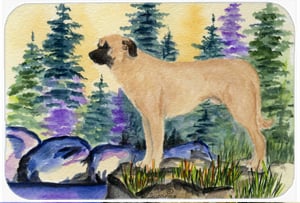 8 x 9.5 in. Anatolian Shepherd Mouse Pad, Hot Pad or Trivet