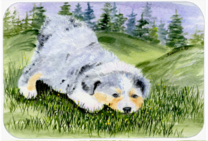 Australian Shepherd Mouse Pad, Hot Pad & Trivet