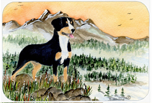 Entlebucher Mountain Dog Mouse Pad, Hot Pad & Trivet