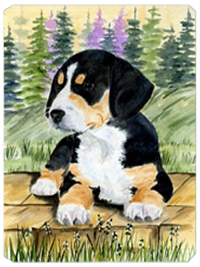 Entlebucher Mountain Dog Mouse Pad, Hot Pad & Trivet