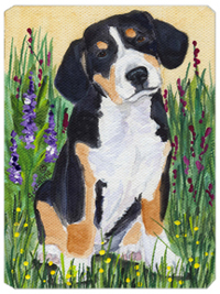 Entlebucher Mountain Dog Mouse Pad, Hot Pad & Trivet