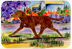 SS8435MP Chesapeake Bay Retriever Mouse Pad