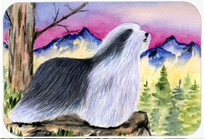 SS8338MP Bearded Collie Mouse Pad