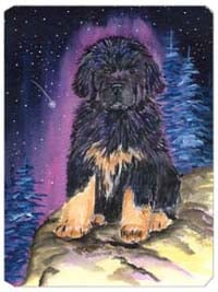 Starry Night Tibetan Mastiff Mouse Pad