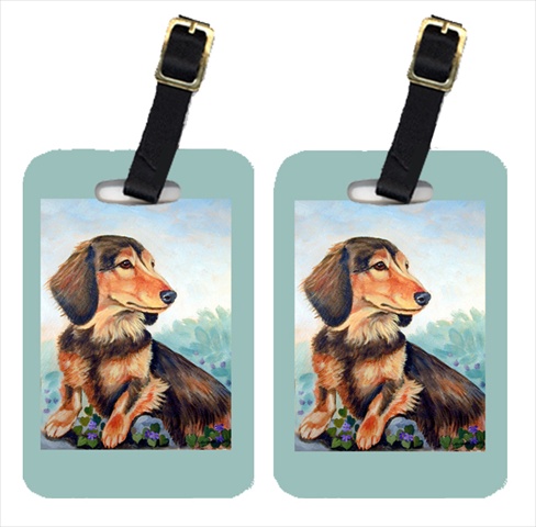 Picture of Carolines Treasures 7023BT Pair Of 2 Dachshund Chocolate And Tan Long Haired Luggage Tags
